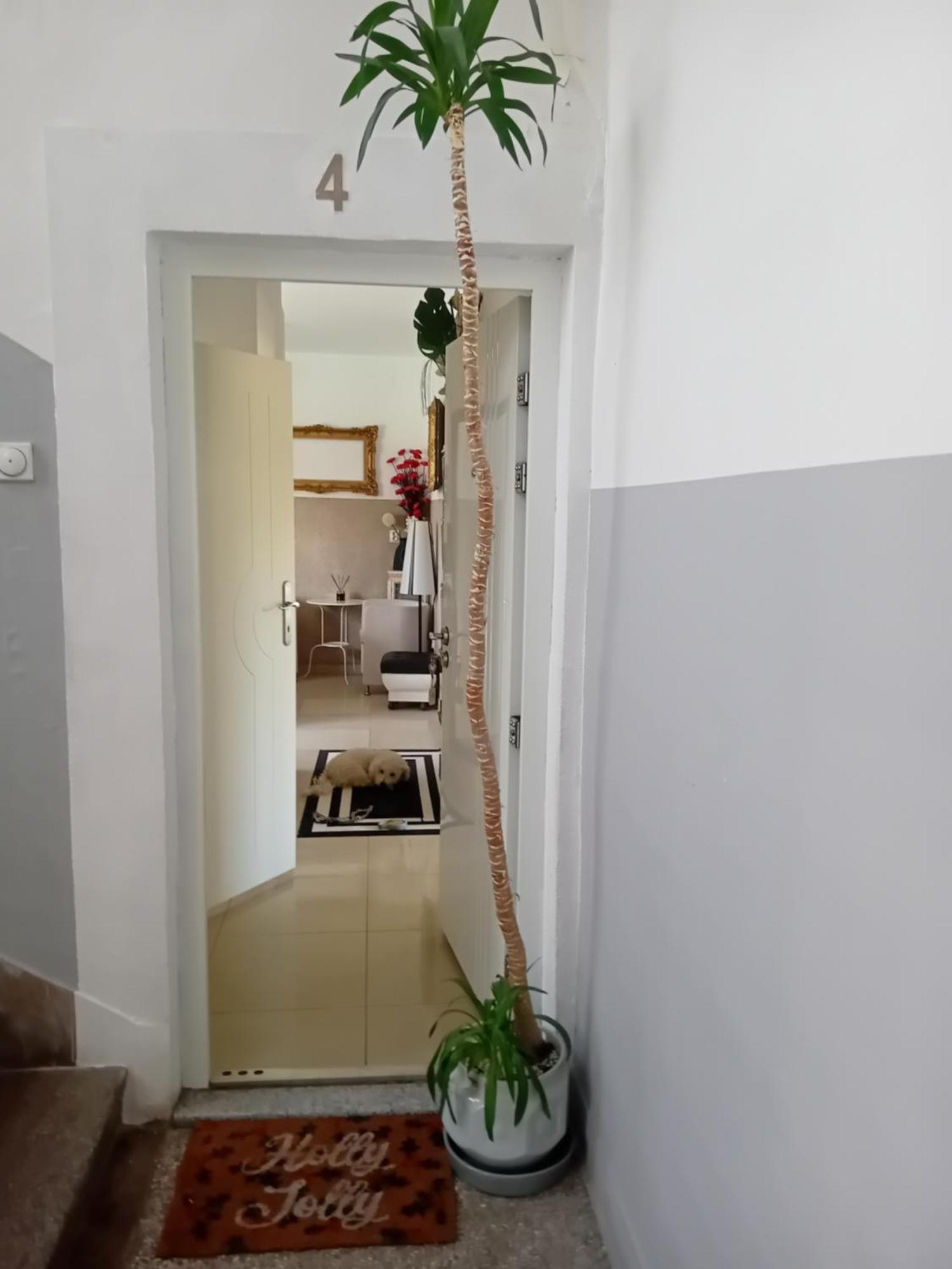 Apartment Top Centar Banja Luka Esterno foto